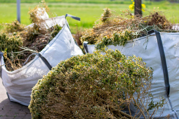 Professional Junk Removal in Blue Rapids, KS